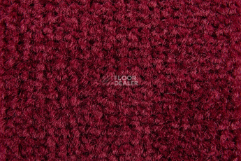 Balsan Les Best 585 фото 2 | FLOORDEALER