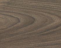 Ламинат Haro Tritty 100 4V Акация Варио 544723 фото 1 | FLOORDEALER