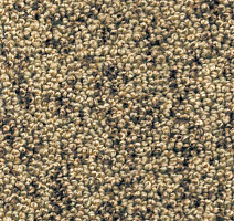 Ковролин AW Dakota 40 фото 1 | FLOORDEALER