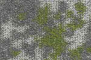 Ковровая плитка Small 622 Fern d фото  | FLOORDEALER