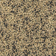 Ковролин AW Dakota 40 фото 1 | FLOORDEALER