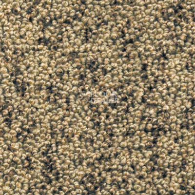 Ковролин AW Dakota 40 фото 1 | FLOORDEALER