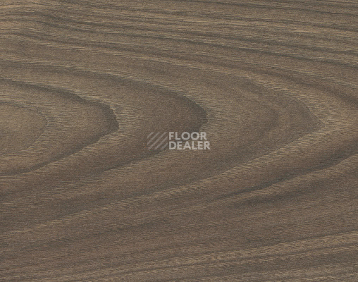 Ламинат Haro Tritty 100 4V Акация Варио 544723 фото 1 | FLOORDEALER