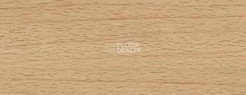 Плинтус Dollken EP 60/13 2356 фото 2 | FLOORDEALER