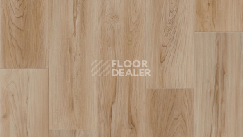 Линолеум Tarkett Club BRIDE 1 фото 1 | FLOORDEALER