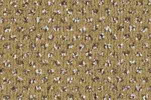 Ковровая плитка Balsan Impression Sonic Confort 625 фото  | FLOORDEALER