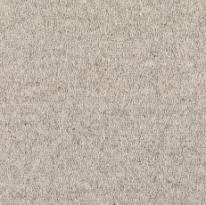Best Wool Nature Vivaldi I-AB Silver фото 1 | FLOORDEALER