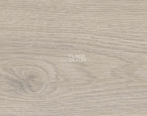 Ламинат Haro Tritty 200 Aqua 4V Дуб Флавия Серый 544760 фото 1 | FLOORDEALER