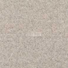 Ковролин Best Wool Nature Vivaldi I-AB Silver фото 1 | FLOORDEALER