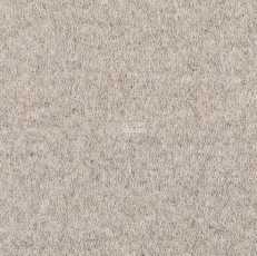 Best Wool Nature Vivaldi I-AB Silver фото 1 | FLOORDEALER