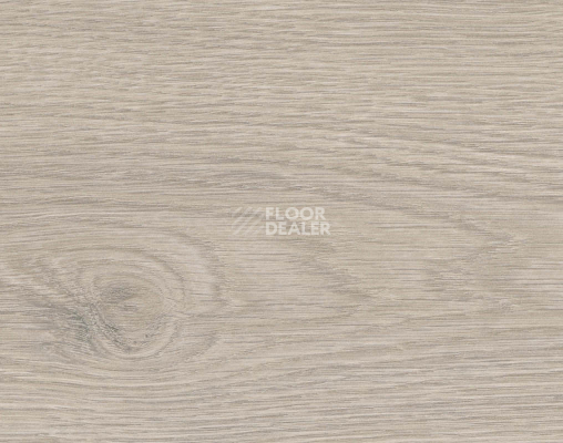 Ламинат Haro Tritty 200 Aqua 4V Дуб Флавия Серый 544760 фото 1 | FLOORDEALER