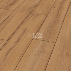 Ламинат Kronotex Exquisit 8мм d80072 Дуб Фермерский Натуральный фото 1 | FLOORDEALER