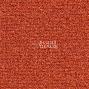 Ковролин Balsan Acadie DD Acadie 483 фото 1 | FLOORDEALER