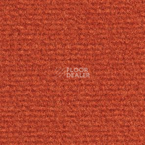 Ковролин Balsan Acadie DD Acadie 483 фото 1 | FLOORDEALER
