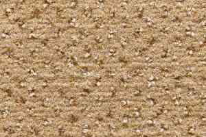 Ковролин Condor Carpets Argus 105 фото  | FLOORDEALER