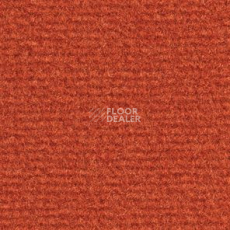 Ковролин Balsan Acadie DD Acadie 483 фото 1 | FLOORDEALER