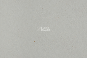 Forbo Marmoleum Solid Walton 3369-336935 titanium фото 1 | FLOORDEALER