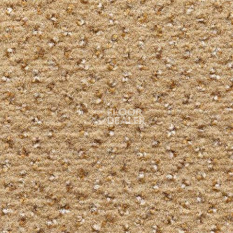Ковролин Condor Carpets Argus 105 фото 1 | FLOORDEALER