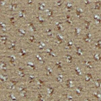 Ковролин Infloor Credo 720 фото 1 | FLOORDEALER