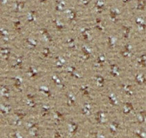 Ковролин Infloor Credo 720 фото 1 | FLOORDEALER