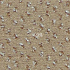 Ковролин Infloor Credo 720 фото 1 | FLOORDEALER