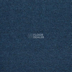 Ковровая плитка IVC Shark 575 фото 1 | FLOORDEALER