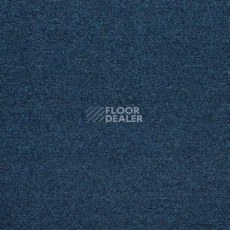Ковровая плитка IVC Shark 575 фото 1 | FLOORDEALER