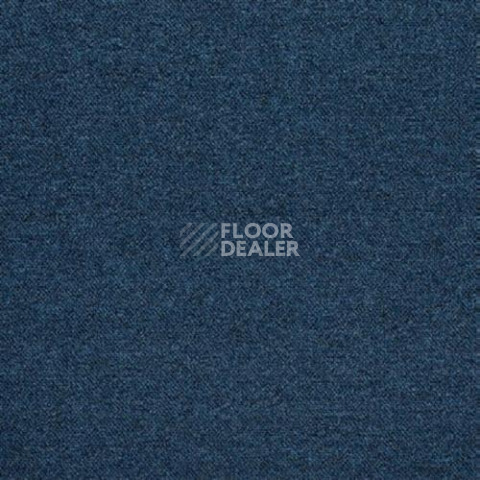 Ковровая плитка IVC Shark 575 фото 1 | FLOORDEALER