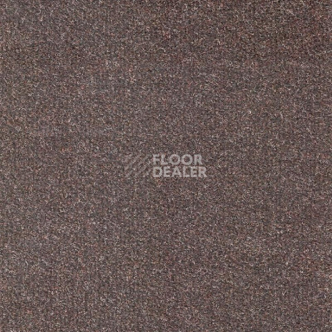 Ковролин Зартекс Форса Форса 069 Коричневый фото 1 | FLOORDEALER