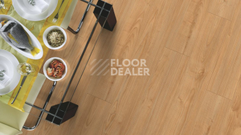Kronotex Robusto 12мм d4720 Кастанеа фото 10 | FLOORDEALER