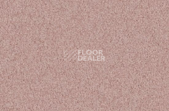 Ковролин Vorwerk Viola 1l49 фото 1 | FLOORDEALER