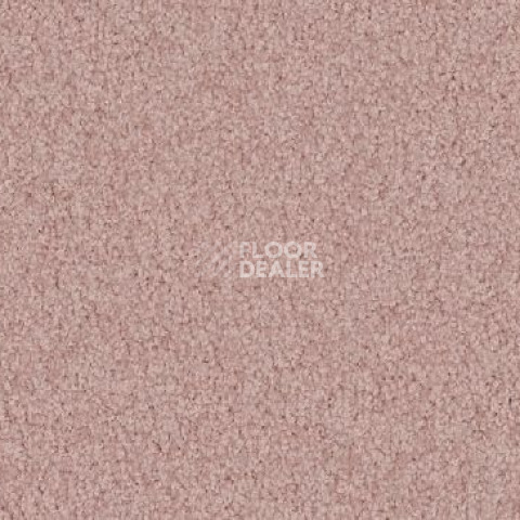 Ковролин Vorwerk Viola 1l49 фото 1 | FLOORDEALER