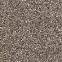 Ковролин AW Invictus Scorpius 37 фото 1 | FLOORDEALER