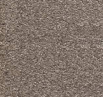 Ковролин AW Invictus Scorpius 37 фото 1 | FLOORDEALER