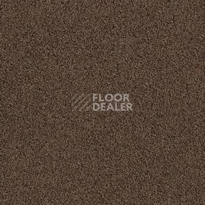 Ковровая плитка Interface Sherbet Fizz 5555 фото 1 | FLOORDEALER