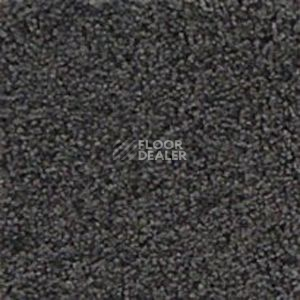 Ковролин Infloor Cashmere 570 фото 1 | FLOORDEALER