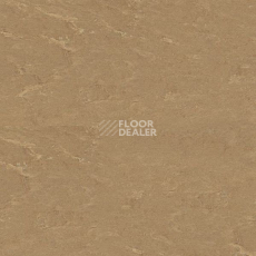 Кварцвиниловые полы Polyflex Plus PU 7100 фото 1 | FLOORDEALER