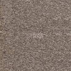 Ковролин AW Invictus Scorpius 37 фото 1 | FLOORDEALER