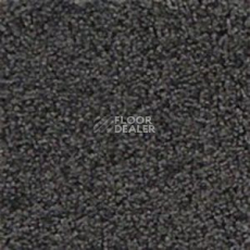 Ковролин Infloor Cashmere 570 фото 1 | FLOORDEALER