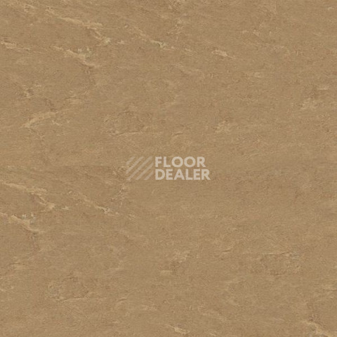 Кварцвиниловые полы Polyflex Plus PU 7100 фото 1 | FLOORDEALER
