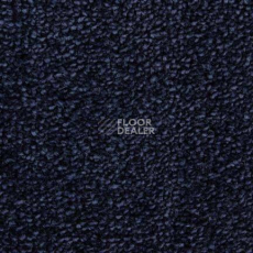 Ковролин Edel Affection 171 фото 1 | FLOORDEALER