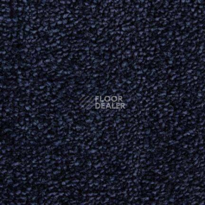 Ковролин Edel Affection 171 фото 1 | FLOORDEALER