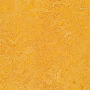 Линолеум Forbo Marmoleum Decibel 322535 dandelion  | FLOORDEALER