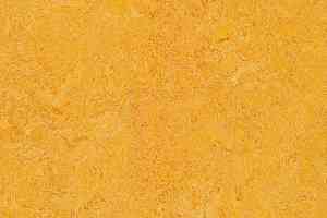 Линолеум Forbo Marmoleum Decibel 322535 dandelion фото  | FLOORDEALER