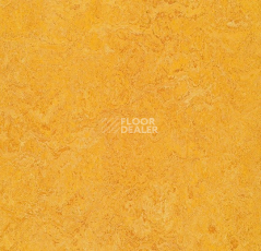 Линолеум Forbo Marmoleum Decibel 322535 dandelion фото 1 | FLOORDEALER