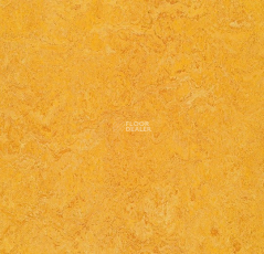 Forbo Marmoleum Decibel 322535 dandelion фото 1 | FLOORDEALER