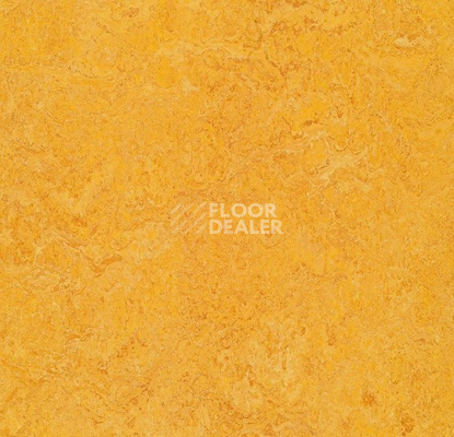 Линолеум Forbo Marmoleum Decibel 322535 dandelion фото 1 | FLOORDEALER