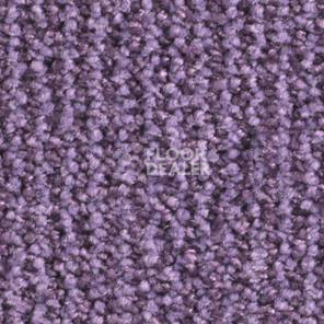 Ковролин Balsan Delice Delice 850 фото 1 | FLOORDEALER