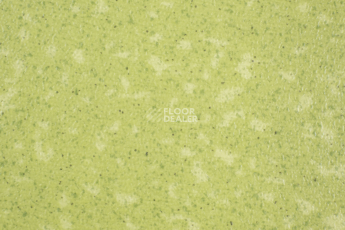 Tarkett Acczent Pro Aspect 9 фото 1 | FLOORDEALER