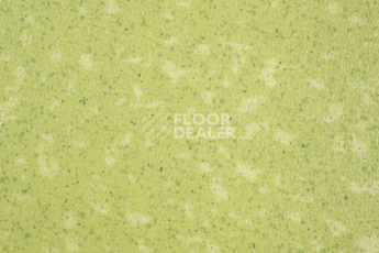 Линолеум Tarkett Acczent Pro Aspect 9 фото 1 | FLOORDEALER